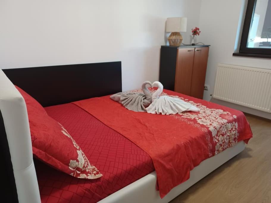 Apartamentul Relaxarii M&f * Bucarest