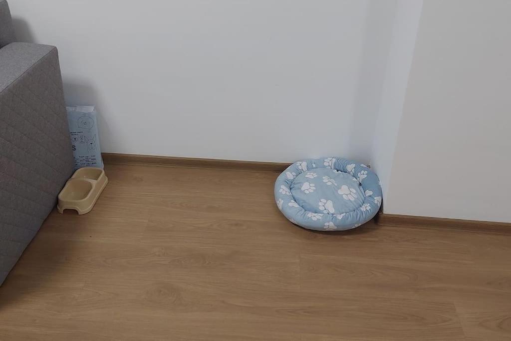 Appartamento Apartamentul Relaxarii M&f *