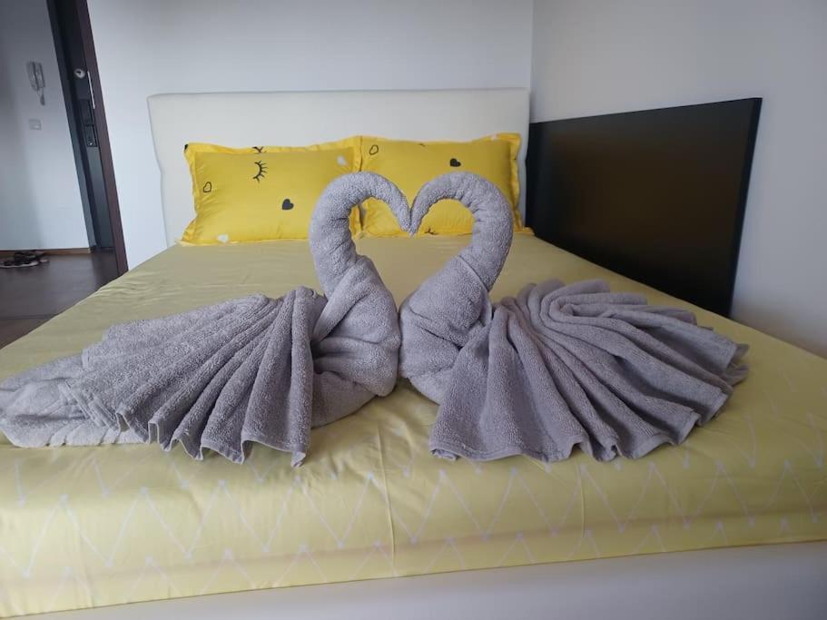 Appartamento Apartamentul Relaxarii M&f Bucarest